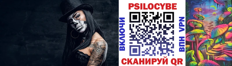 Псилоцибиновые грибы Psilocybe  Шарыпово 